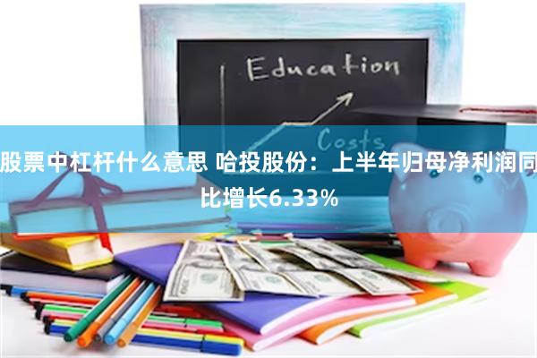 股票中杠杆什么意思 哈投股份：上半年归母净利润同比增长6.33%
