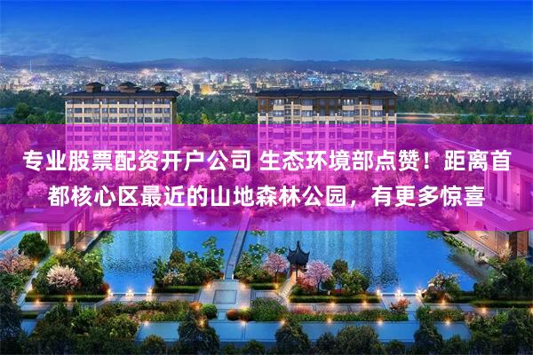 专业股票配资开户公司 生态环境部点赞！距离首都核心区最近的山地森林公园，有更多惊喜