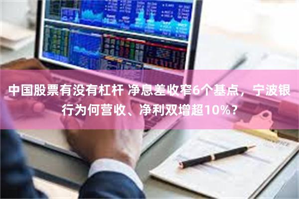中国股票有没有杠杆 净息差收窄6个基点，宁波银行为何营收、净利双增超10%？