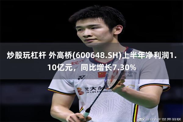 炒股玩杠杆 外高桥(600648.SH)上半年净利润1.10亿元，同比增长7.30%