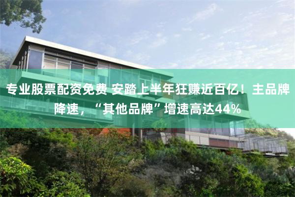 专业股票配资免费 安踏上半年狂赚近百亿！主品牌降速，“其他品牌”增速高达44%