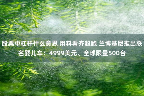 股票中杠杆什么意思 用料看齐超跑 兰博基尼推出联名婴儿车：4999美元、全球限量500台