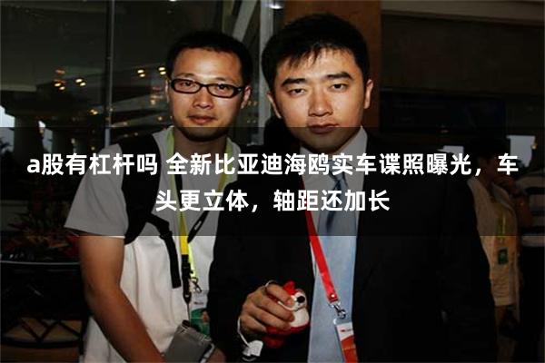 a股有杠杆吗 全新比亚迪海鸥实车谍照曝光，车头更立体，轴距还加长
