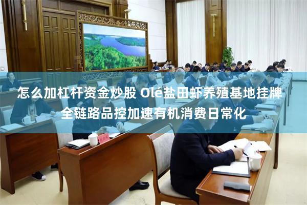 怎么加杠杆资金炒股 Olé盐田虾养殖基地挂牌  全链路品控加速有机消费日常化