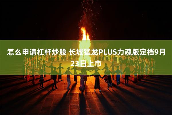 怎么申请杠杆炒股 长城猛龙PLUS力魂版定档9月23日上市