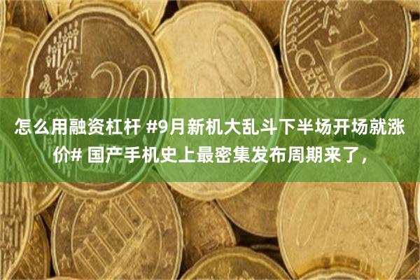 怎么用融资杠杆 #9月新机大乱斗下半场开场就涨价# 国产手机史上最密集发布周期来了，