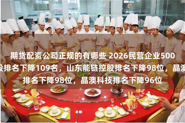期货配资公司正规的有哪些 2026民营企业500强退步榜：新城控股排名下降109名，山东能链控股排名下降98位，晶澳科技排名下降96位