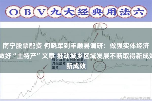 南宁股票配资 何晓军到丰顺县调研：做强实体经济 做好“土特产”文章 推动城乡区域发展不断取得新成效