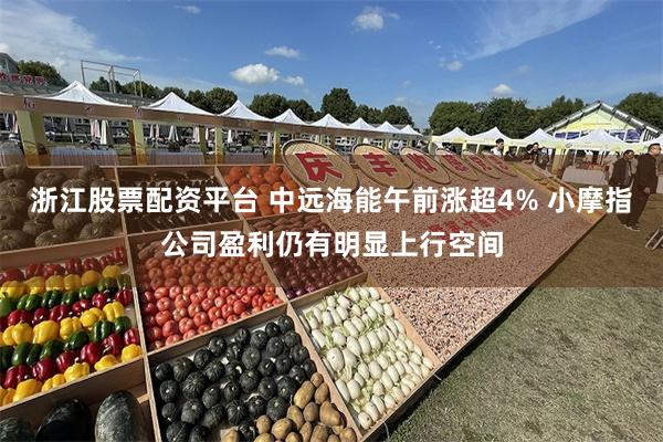 浙江股票配资平台 中远海能午前涨超4% 小摩指公司盈利仍有明显上行空间