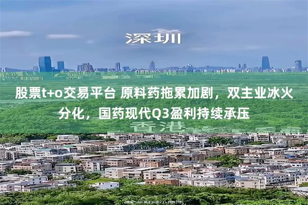 股票t+o交易平台 原料药拖累加剧，双主业冰火分化，国药现代Q3盈利持续承压