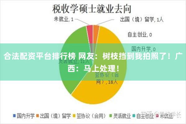 合法配资平台排行榜 网友：树枝挡到我拍照了！广西：马上处理！